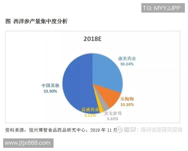 重庆网球队的节奏与技战术分析探讨及未来发展方向研究