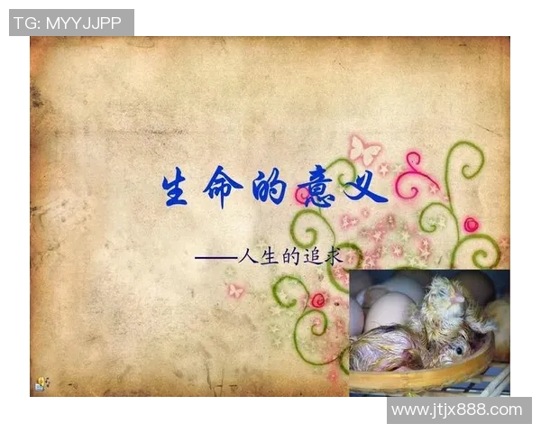 张帆的奋斗历程与成长故事探寻人生的意义与价值